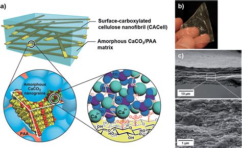  Nanocellulose: Een Wondermateriaal voor de Toekomst van Versterkte Composieten!